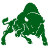 Bethany Bison