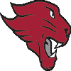 Concordia Chicago Cougars