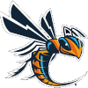 Cedarville Yellow Jackets (Women)