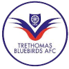 Trethomas Bluebirds
