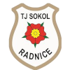 Sokol Radnice