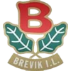 Brevik