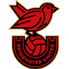 Bridgwater United (Women)