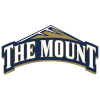 Mount St. Mary's University