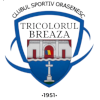 Tricolorul Breaza