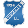 Birkenes