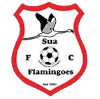 Sua Flamingoes