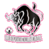 Deportivo Novillos Neza