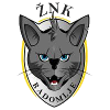 ZNK Radomlje (Women)