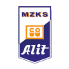 Alit Ozarow
