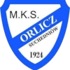 Orlicz Suchedniow