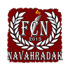 Fakel Novogrudok