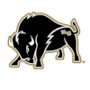 Harding Bisons