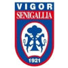 US Vigor Senigallia
