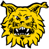 Ilves Tampere (Women)