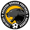Maccabi Panthers Ashdod (Women)