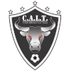 Los Toros