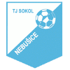 Sokol Nebusice