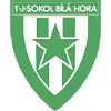 Sokol Bila Hora II