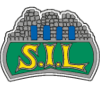 Storhamar Fotball
