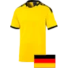 FV Dresden 06 Laubegast