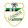 Gornik Sosnowiec