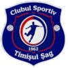 Timisul Sag