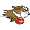 University of St. Francis Fighting Saints (Women)