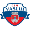 CSM Vaslui