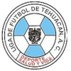 Liga de Futbol de Tehuacan