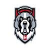 D'Youville Saints