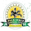 Palm Syrup