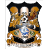 Three Bridges