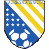 Agricola Borcea