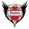 Llamas Kochi