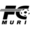 Muri IV