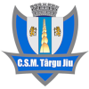 CSM Targu Jiu