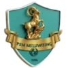 PS Meluwiting