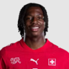 Johan Manzambi