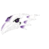 Niagara Purple Eagles (Women)