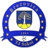 Sokol Brezovica