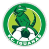 Iguanas
