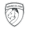Dragones del Cerro