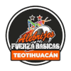 Alebrijes de Oaxaca Teotihuacan