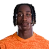 Yan Diomande