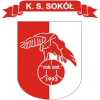 Sokol Bozepole Wielkie