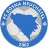 Bosna 2002