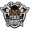 Pedesi Vikings