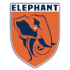 Elephant (Youth)