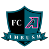 Ambush